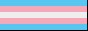 trans flag